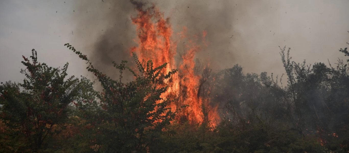 Δήμαρχος Μαντουδίου για φωτιά: «Η ώρα είχε πάει 8 και δεν είχε φανερωθεί κανένα πτητικό μέσο»